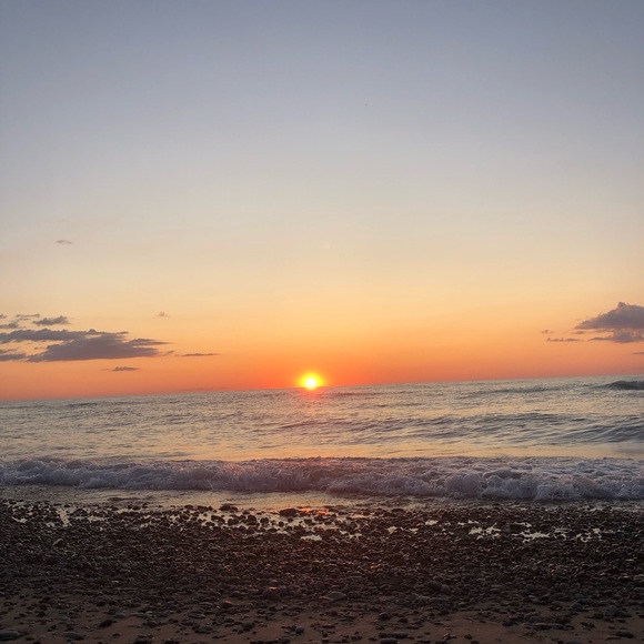 Meet your Posher, Payton - Picture 1 of 1